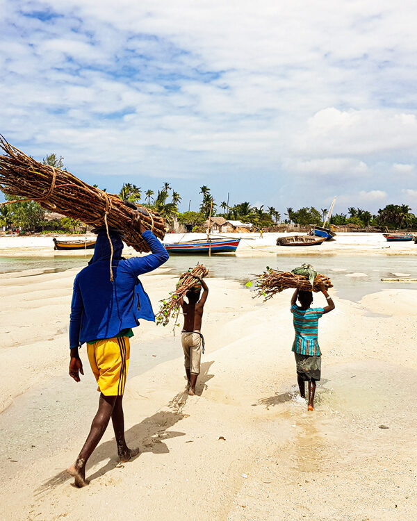 Locals carrying firewood on a beach in Mozambique