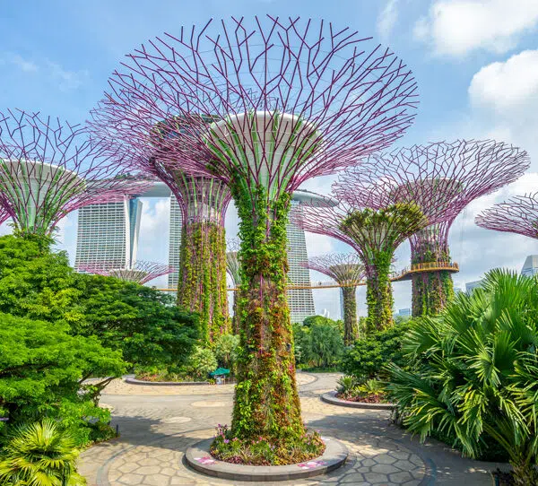 Visiting the Garden by the Bay in Singapore on an overseas school trip