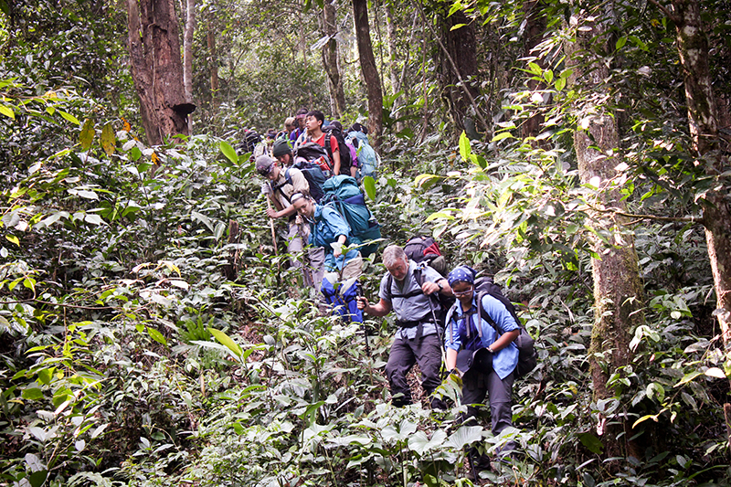 Backpackers on a Jungle Trek
