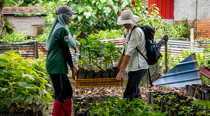 Mangrove Planting Community Project