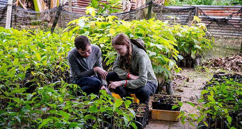 Tree Planting Community Project