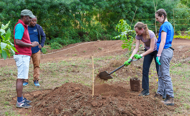 Community tree planting