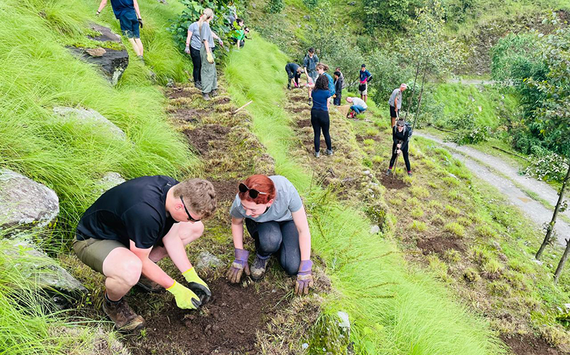 Community Tree Planting