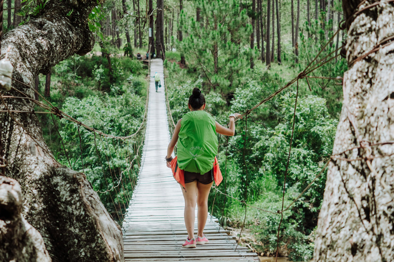 A student hiking across a suspension bridge on a school expedition