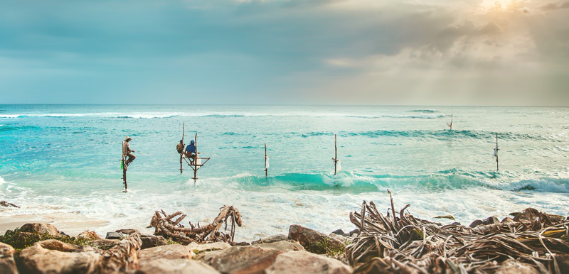 Watching the stilt fishermen in Sri Lanka on an overseas school trip