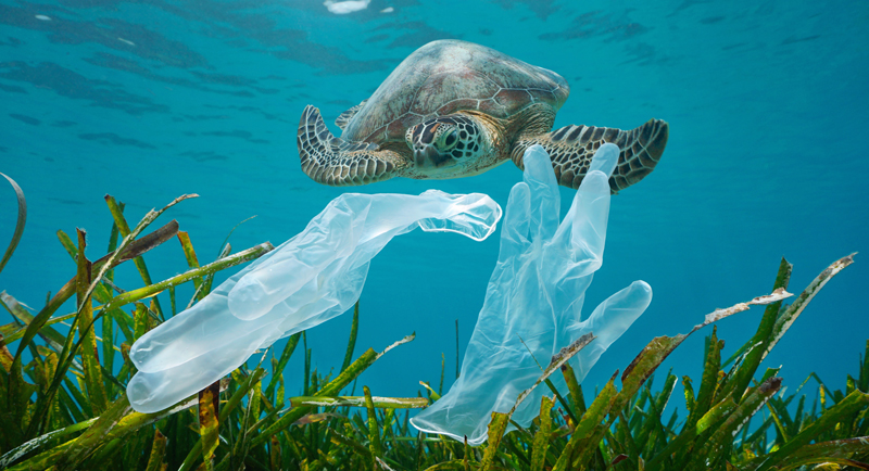 A turtle swimming in the ocean with plastic pollution