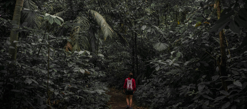 Hiking through the rainforest in Costa Rica on an overseas school trip