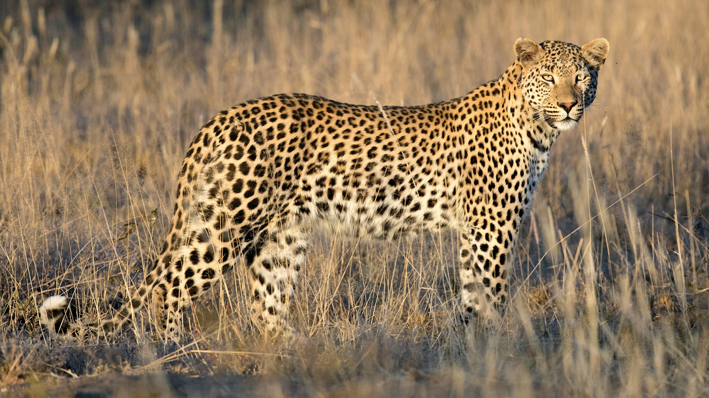 Rainforest & Mountain School Expedition to Tanzania