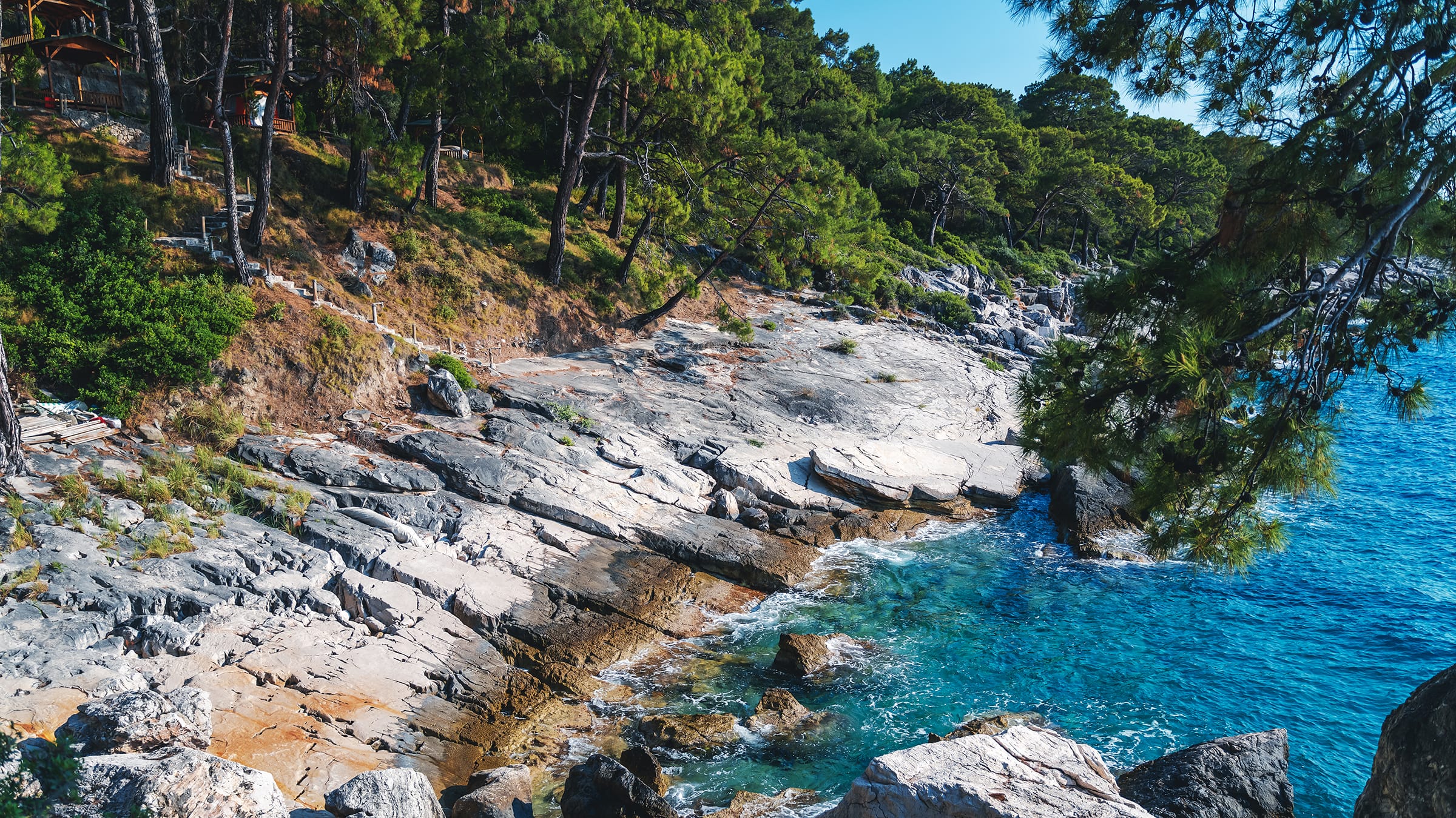 Turtle Conservation in Turkey